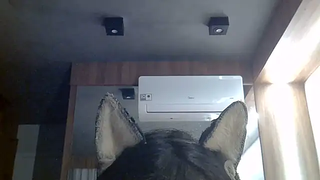 Snapshot of Skinny-Kitten chatting on 30, 6, 2026 Skinny-Kitten online show from 30, 6, 2026