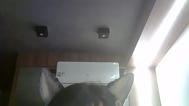 Snapshot of Skinny-Kitten chatting on 27, 3, 2026 Skinny-Kitten online show from 27, 3, 2026