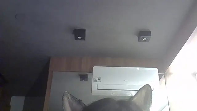 Skinny-Kitten online show from 10, 2, 2026