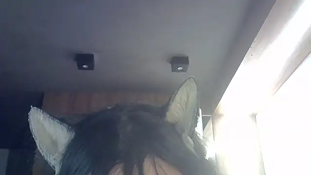 Snapshot of Skinny-Kitten chatting on 12, 3, 2026 Skinny-Kitten online show from 12, 3, 2026