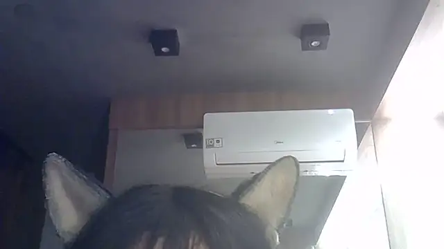 Snapshot of Skinny-Kitten chatting on 1, 7, 2026 Skinny-Kitten online show from 1, 7, 2026