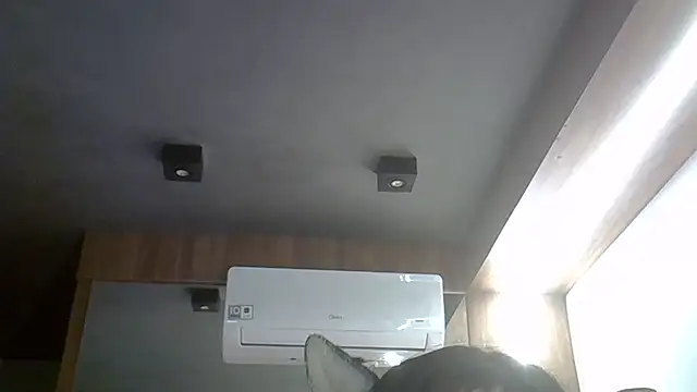 Snapshot of Skinny-Kitten chatting on 6, 3, 2026 Skinny-Kitten online show from 6, 3, 2026