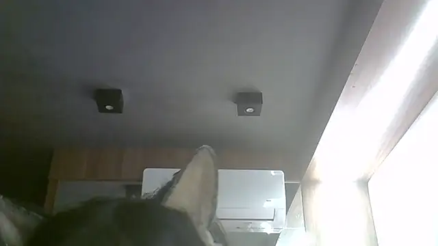 Skinny-Kitten online show from 17, 5, 2026