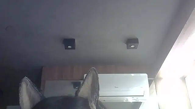 Skinny-Kitten online show from 28, 2, 2026