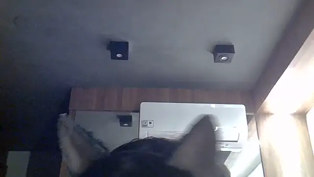 Snapshot of Skinny-Kitten chatting on 12, 7, 2026 Skinny-Kitten online show from 12, 7, 2026