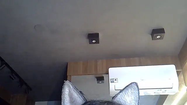 Skinny-Kitten online show from 6, 11, 2025