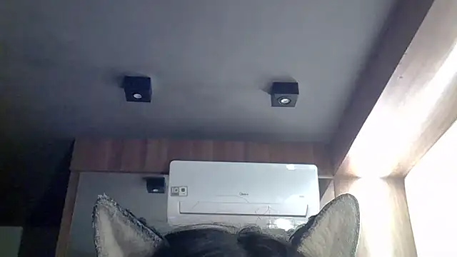 Skinny-Kitten online show from 20, 5, 2026