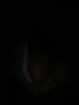 m yummyshish online show from 1, 4, 2026