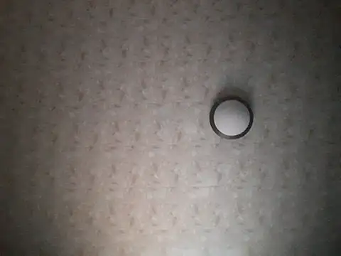 Stormward online show from 30, 11, 2025