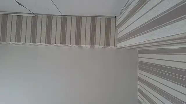 lily  foster online show from 23, 9, 2025