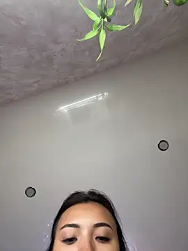 lily  foster online show from 8, 4, 2026