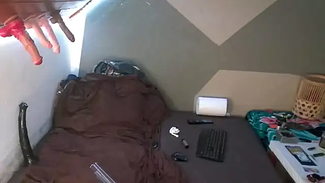 BigTail CZ online show from 26, 9, 2025