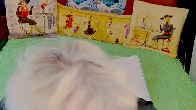 Snapshot of stiphlermom chatting on 29, 11, 2025 stiphlermom online show from 29, 11, 2025