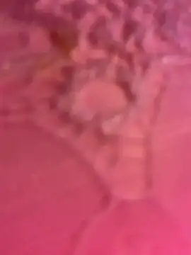 ThICk JuIcEy online show from 8, 1, 2026