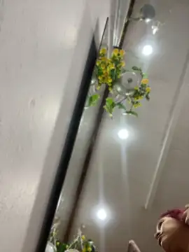 ari sexy1 online show from 25, 6, 2026