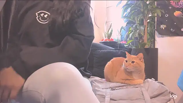 MYFAVOURITESTRAGER online show from 21, 10, 2025