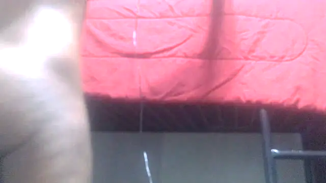 blkhereforall online show from 7, 10, 2025