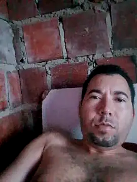 w31 online show from 14, 9, 2025