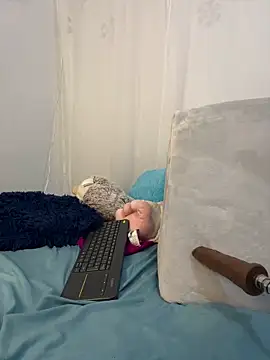 Aleja DANS online show from 15, 3, 2025