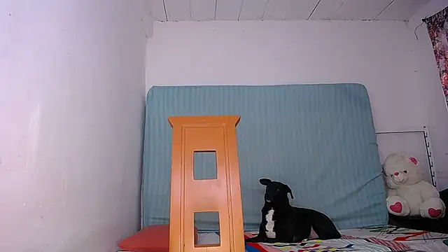 yselahot online show from 17, 11, 2025