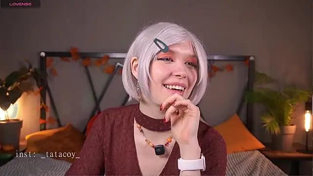 TataCoy online show from 25, 11, 2025