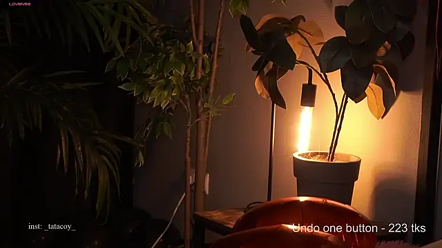 Snapshot of TataCoy chatting on 15, 2, 2026 TataCoy online show from 15, 2, 2026