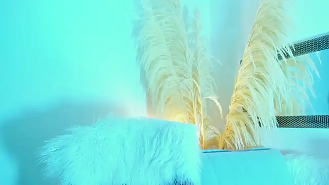 allison 01stone online show from 16, 11, 2025