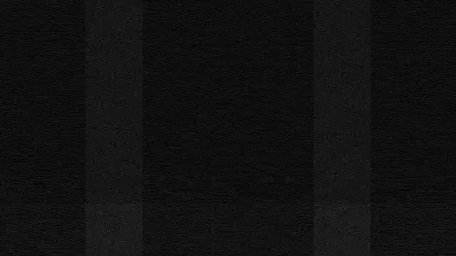 terrybare online show from 16, 10, 2025