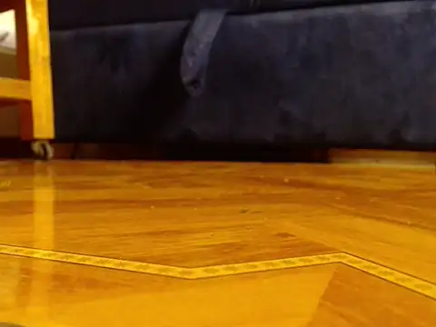 alphaswitchard online show from 25, 3, 2026