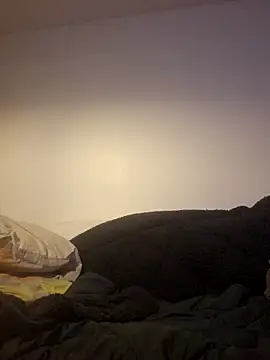 Wisie Cutie online show from 14, 1, 2026