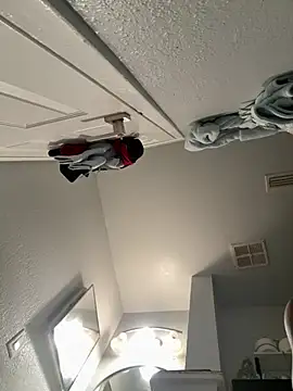 VipSection407 online show from 13, 1, 2026