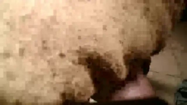 Snapshot of Dan3106x chatting on 19, 3, 2026 Dan3106x online show from 19, 3, 2026