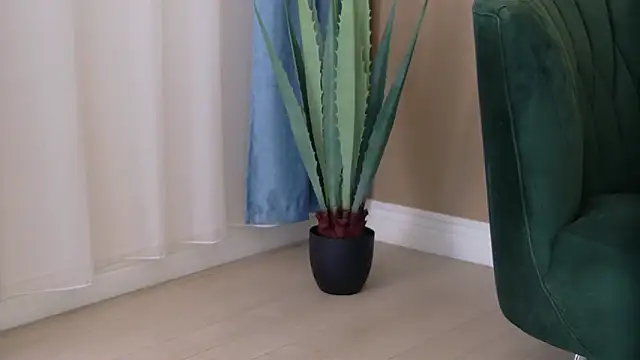 Bailey Rush online show from 25, 11, 2025