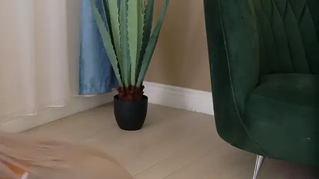 Bailey Rush online show from 5, 12, 2025