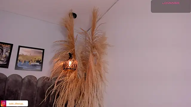 cute  cherry  online show from 14, 4, 2026