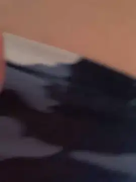 Snapshot of Terrafirma chatting on 27, 1, 2025 Terrafirma online show from 27, 1, 2025