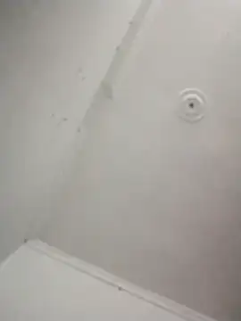 kevin613603 online show from 7, 11, 2025