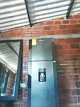 Yelly online show from 13, 3, 2026