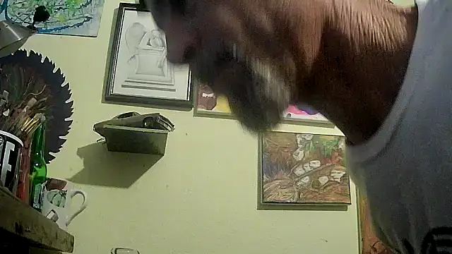 druetrue online show from 9, 11, 2025