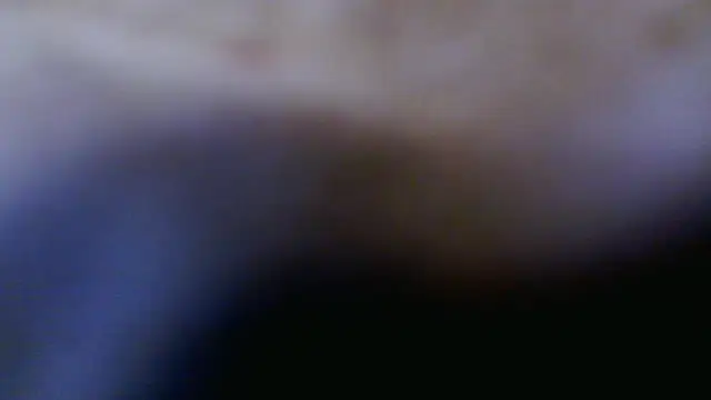 Taylorsexbot online show from 17, 4, 2026