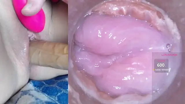 danigirl866 online show from 14, 1, 2025