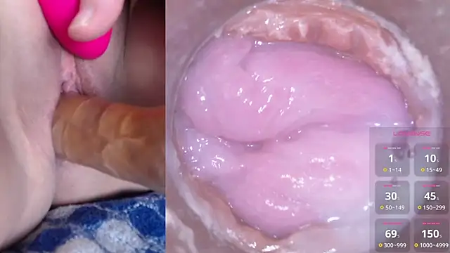 danigirl866 online show from 14, 1, 2025