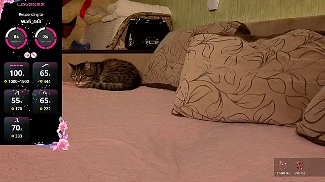 Miss Flexi fit online show from 4, 4, 2026