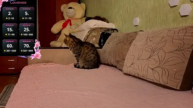 Miss Flexi fit online show from 9, 4, 2026