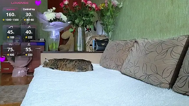 Miss Flexi fit online show from 15, 3, 2025