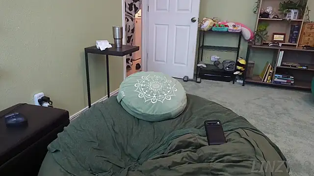 Linzy 19 online show from 17, 12, 2025