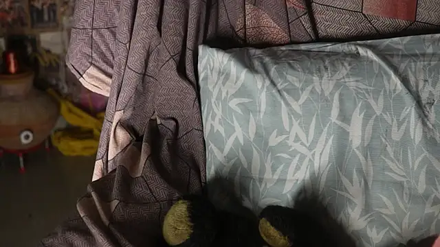 -AyeshaSinghania- online show from 16, 9, 2025