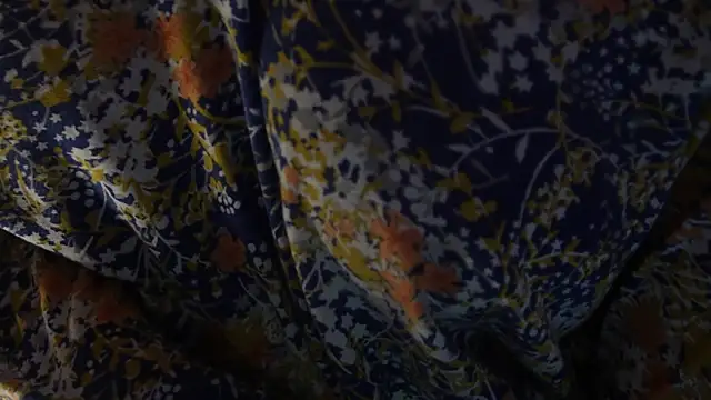 -AyeshaSinghania- online show from 26, 11, 2025