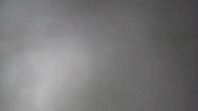 Yardie bone online show from 21, 4, 2026