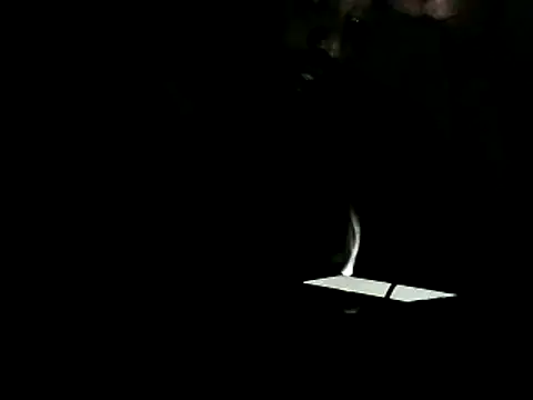 Yardie bone online show from 27, 2, 2025